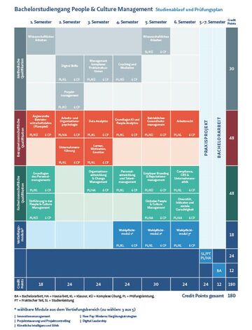 Grafik und Übersicht über den Studienablauf des People & Culture Management