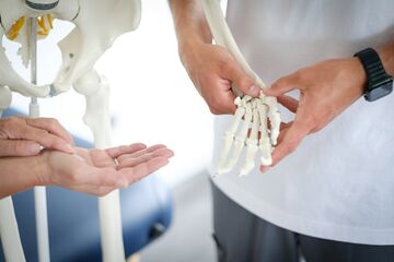 Physiotherapie-Übung an einer Skeletthand