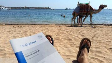 HFH-Student mit Studienbrief am Strand mit Kamel