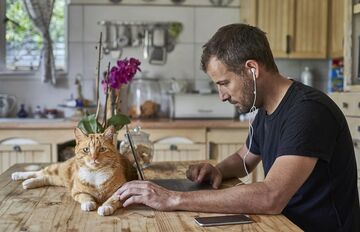 Mann am Tisch vorm Laptop mit Katze